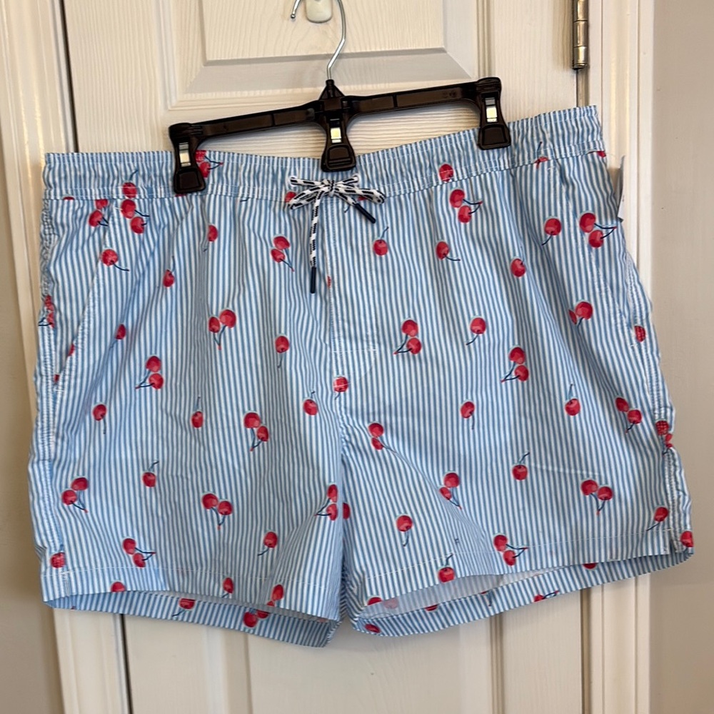 American Eagle Outfitters Blue and Red Swim Trunks with Playful Design
